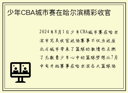 少年CBA城市赛在哈尔滨精彩收官